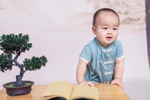 巢湖可爱的企鹅宝宝